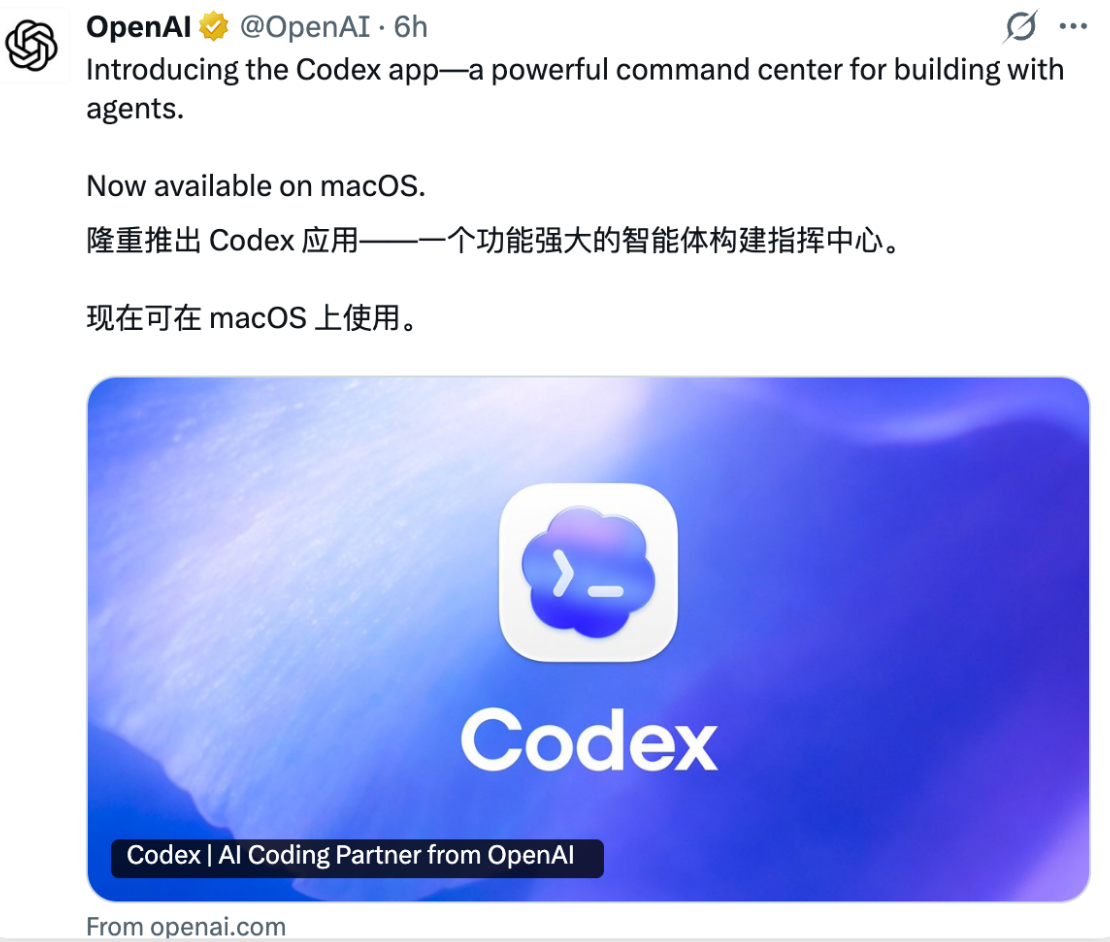 codex app